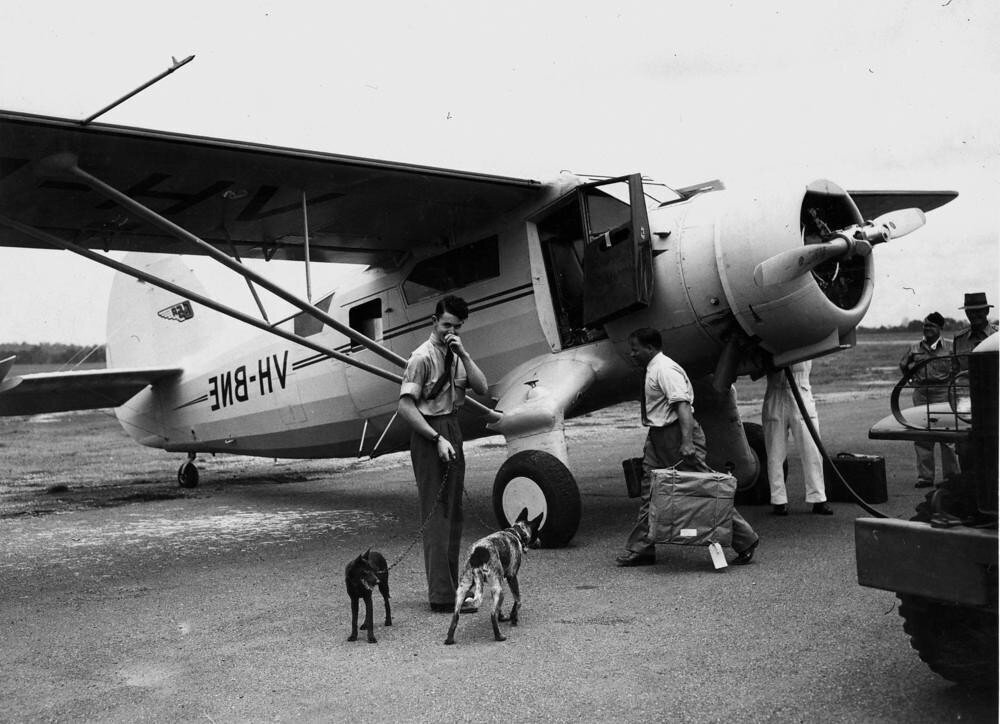 وکاله آریا للأنباء