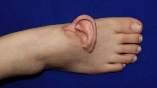 وکاله آریا للأنباء