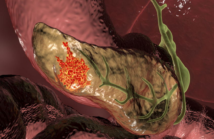 وکاله آریا للأنباء