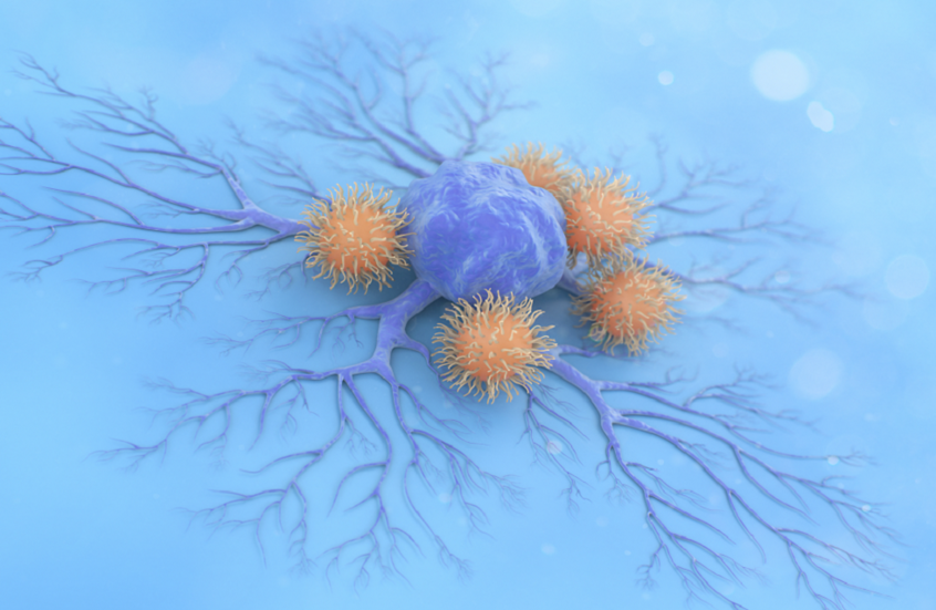 وکاله آریا للأنباء