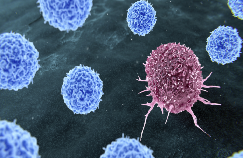 وکاله آریا للأنباء