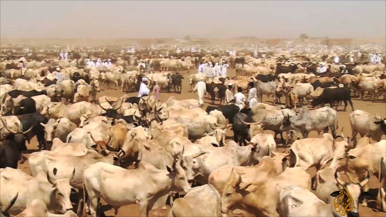 وکاله آریا للأنباء