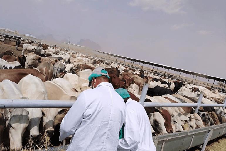 وکاله آریا للأنباء